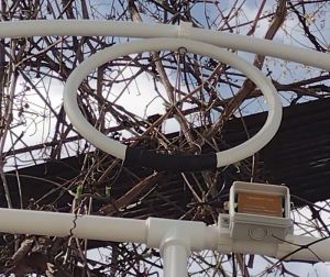 Antenă Buclă Magnetică cu LNA - Recepție Amplificată pentru Semnale Slabe